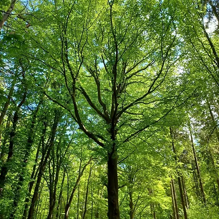 Seeglück Apartment *